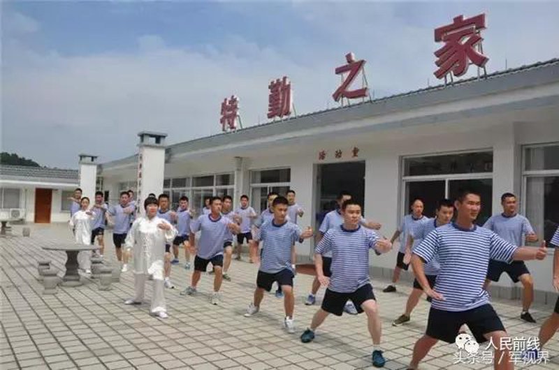 太极文化的选购指南:从入门到精通