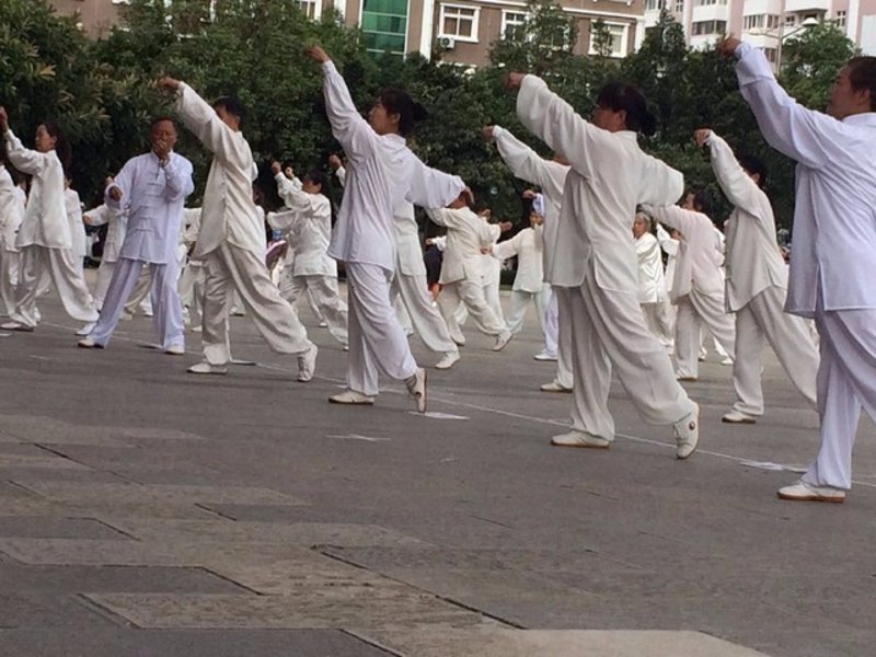 太极养生风靡健身人群,传统与现代碰撞出新火花